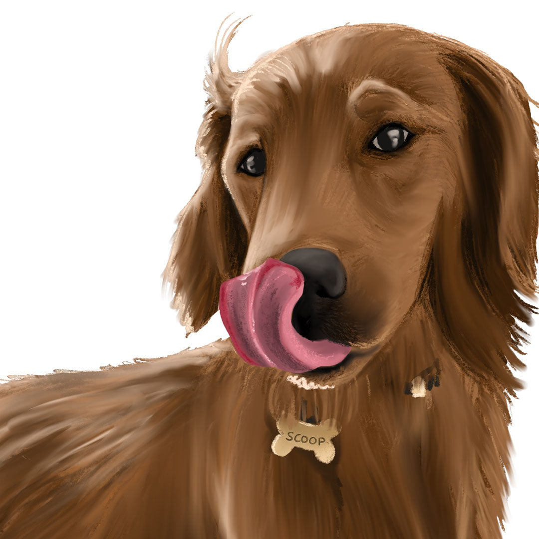 Custom Pet Digital Illustration – Personalized Artwork from Your Pet’s Photo
